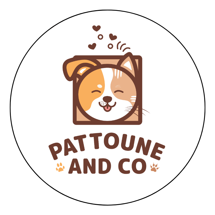 logo pattouneandco